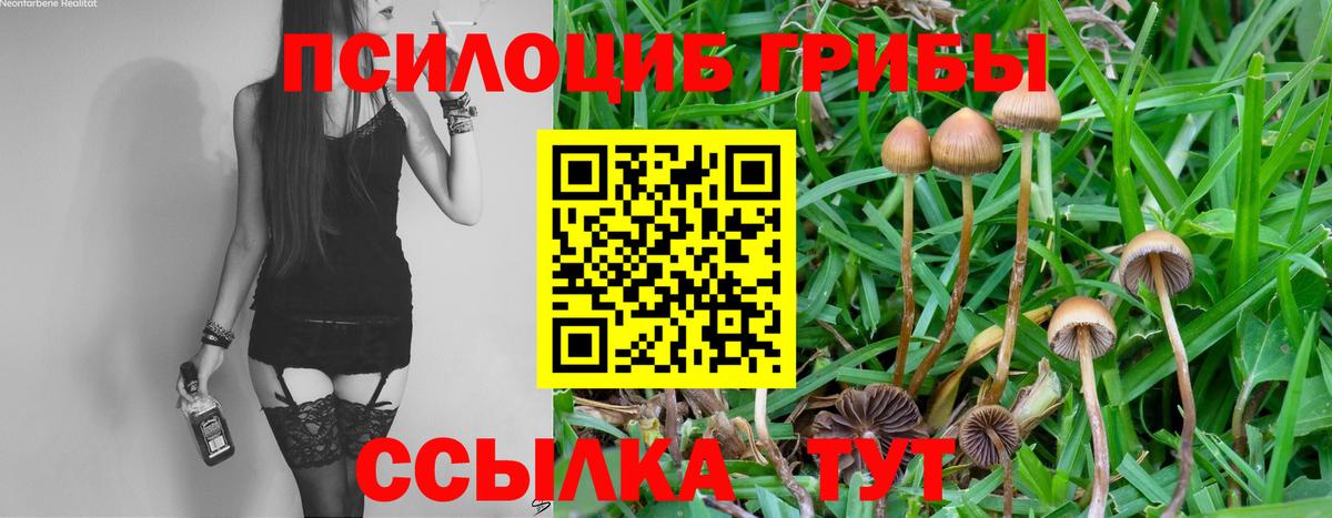Галлюциногенные грибы мицелий  Вход с VPN  Галлюциногенные грибы ЛСД  Нововоронеж 